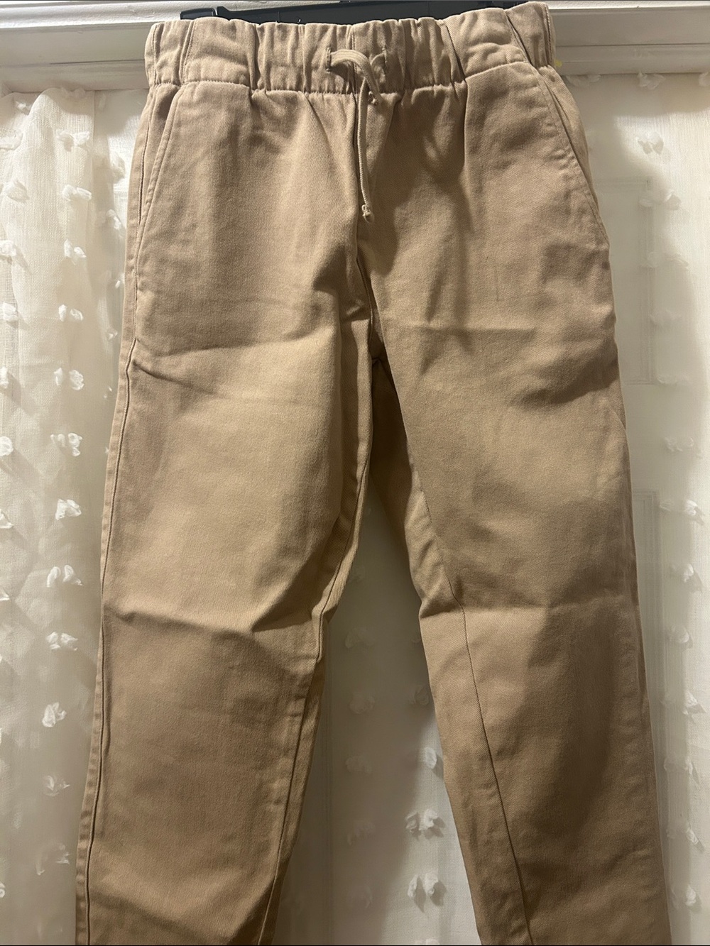 Everlane Women's Elastic Waist Chinos - Tan